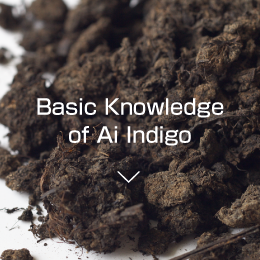 Basic Knowledge of Ai Indigo