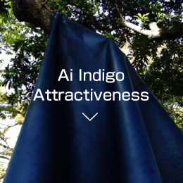 Ai Indigo Attractiveness